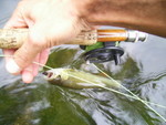 PIC 0080