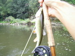 PIC 0082