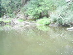 PIC 0083