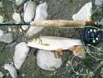 PIC 0084