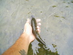 PIC 0087