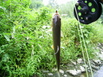 PIC 0089
