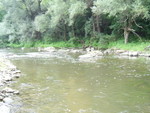 PIC 0091