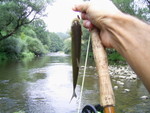 PIC 0092