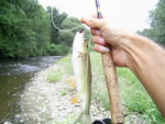 PIC 0094