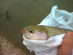 Image(01)