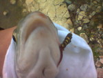 Image(12)