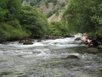 IMG 0913
