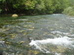 P6090153