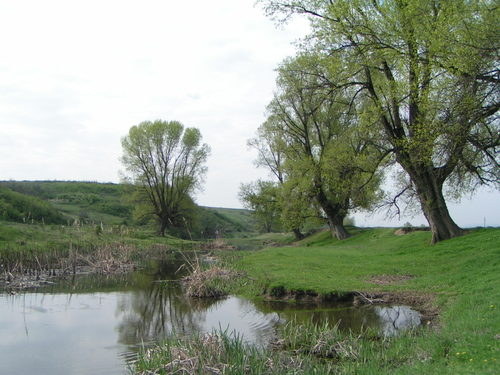 PICT0063