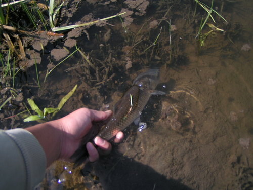 PICT0117