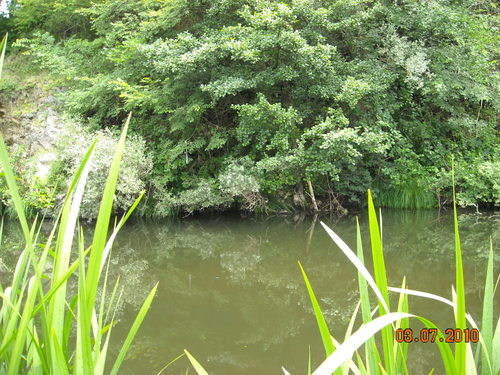 DSCN0377