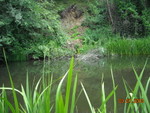 DSCN0378