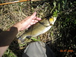 DSCN0379