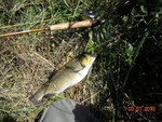 DSCN0380