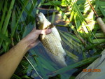 DSCN0381