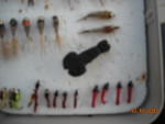 DSCN0442