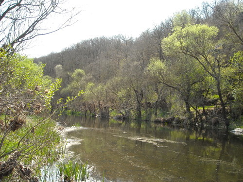 DSCN0021