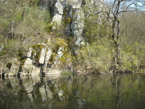 DSCN0028