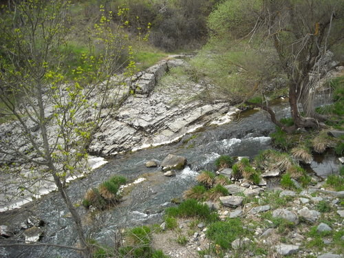 DSCN0040