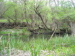 DSCN0045