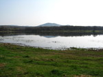 IMG 0983