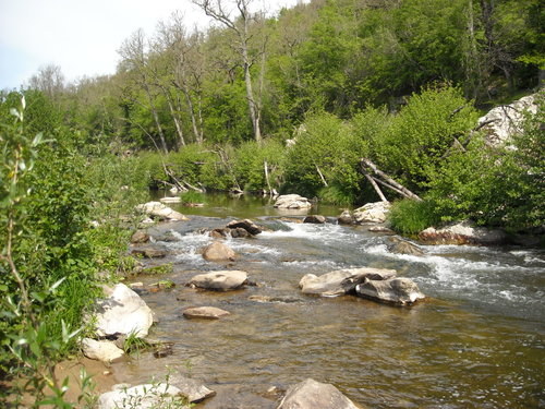DSCN0053