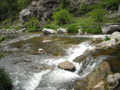 DSCN0058
