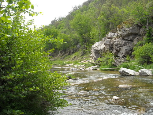 DSCN0059