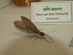 PB085066