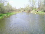 PIC 0013