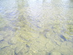 PIC 0014