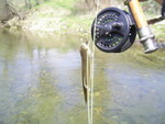 PIC 0019