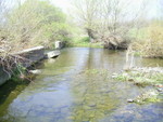 PIC 0021
