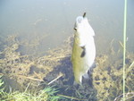 PIC 0026