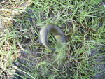 PIC 0027