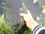 PIC 0036