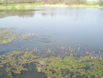 PIC 0038