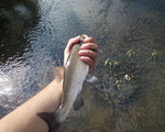 Photo-0008