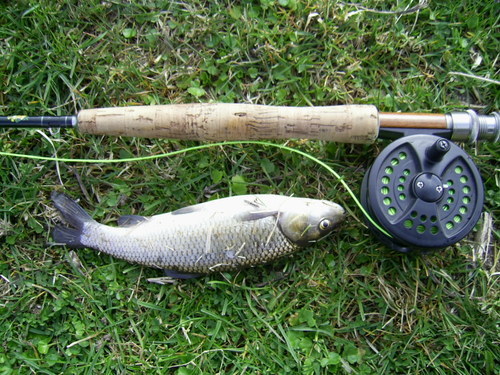 PIC 0010