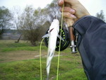 PIC 0051