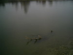 PIC 0057