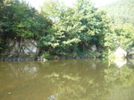 P1060964