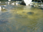 P1070027