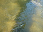P1070028