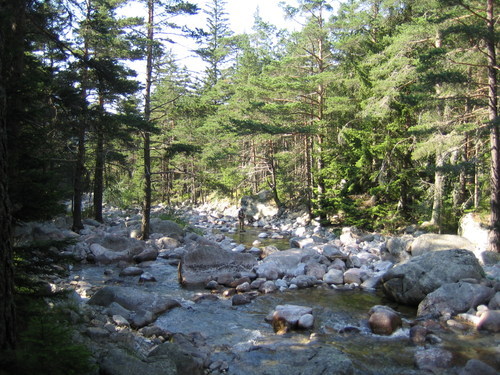 Picture 093