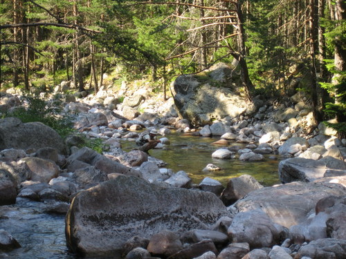 Picture 095