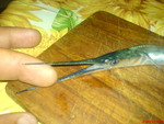 DSC01655