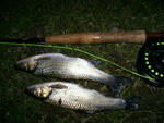 PIC 0071