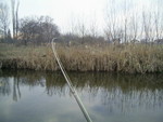 PIC 0095